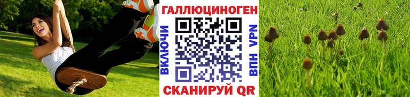 Псилоцибиновые грибы MAGIC MUSHROOMS  где можно купить   omg рабочий сайт  Чкаловск 